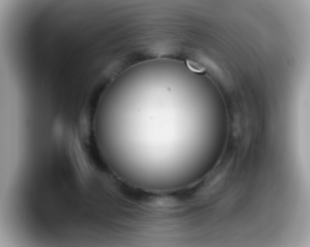 X0000099990210200805301419