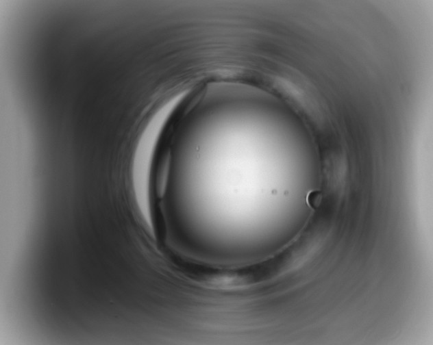 X0000099990212200805301419