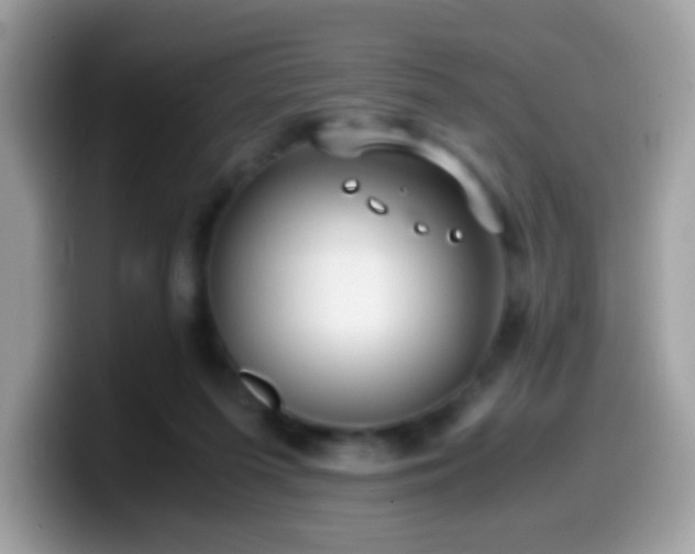 X0000099990215200805301419