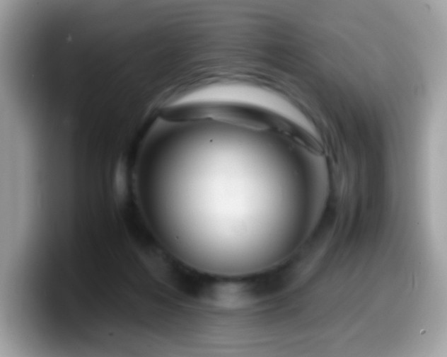 X0000099990216200805301419