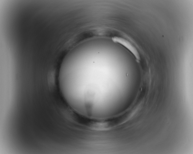 X0000099990217200805301419