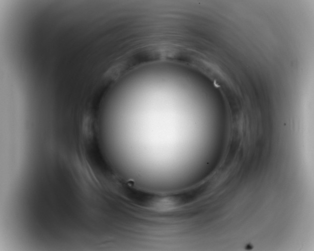 X0000099990218200805301419