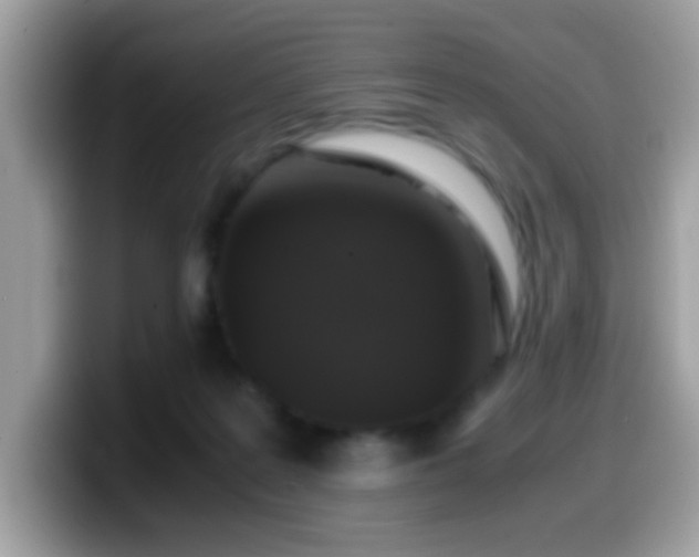 X0000099990219200805301419