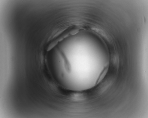 X0000099990220200805301419