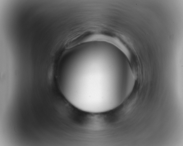 X0000099990221200805301419