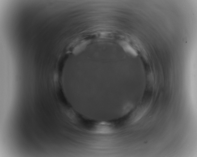 X0000099990222200805301419