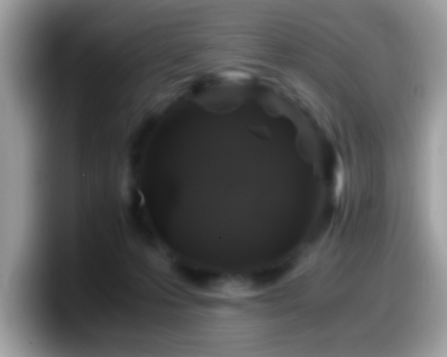 X0000099990223200805301419