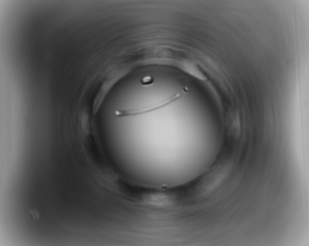 X0000099990224200805301419