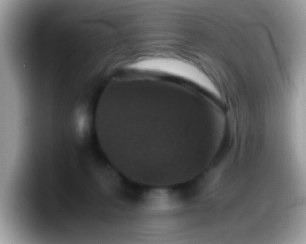 X0000099990227200805301419