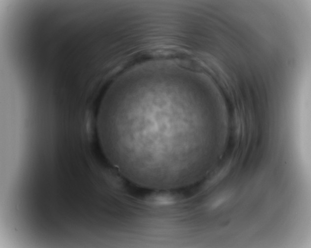 X0000099990228200805301419