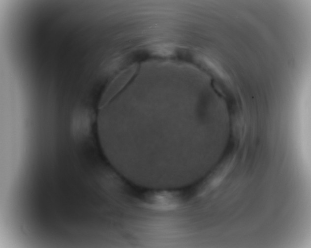 X0000099990229200805301419