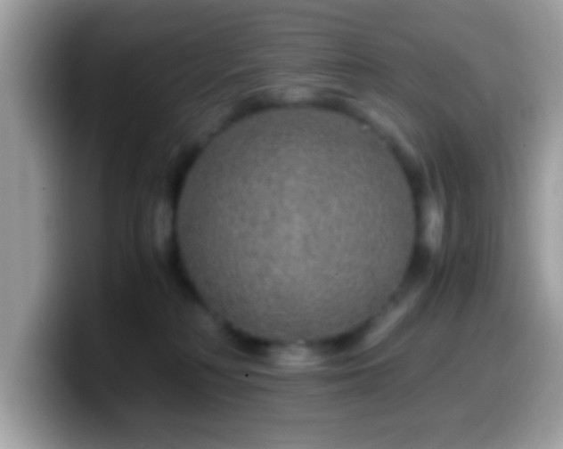 X0000099990230200805301419