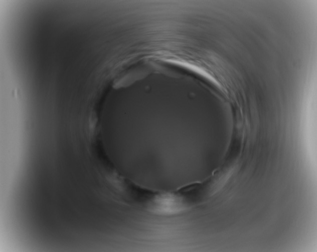 X0000099990231200805301419