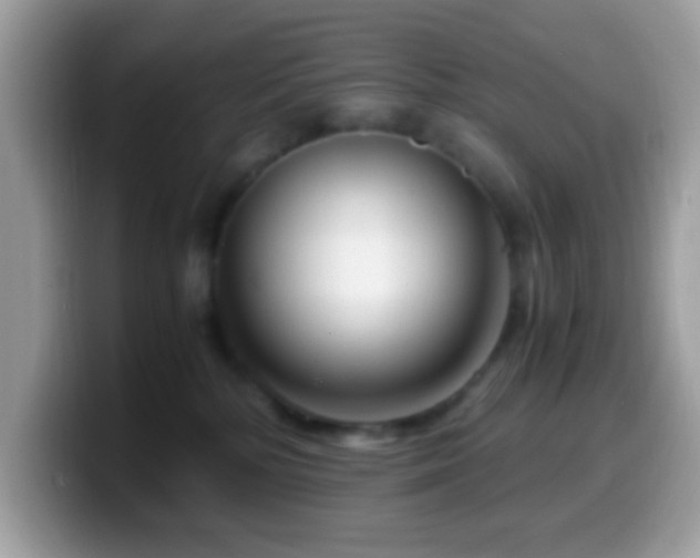 X0000099990232200805301419