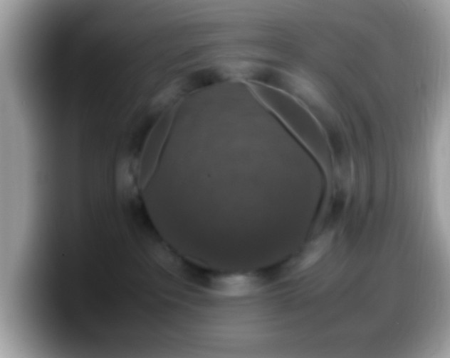 X0000099990237200805301419