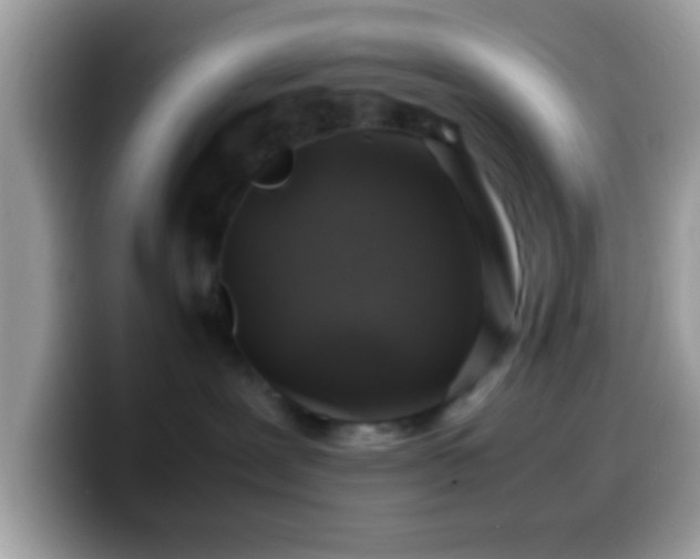 X0000099990239200805301419