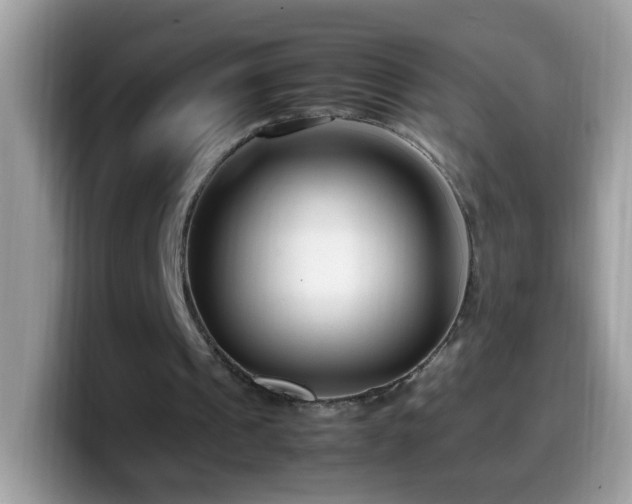 X0000099990241200805301418