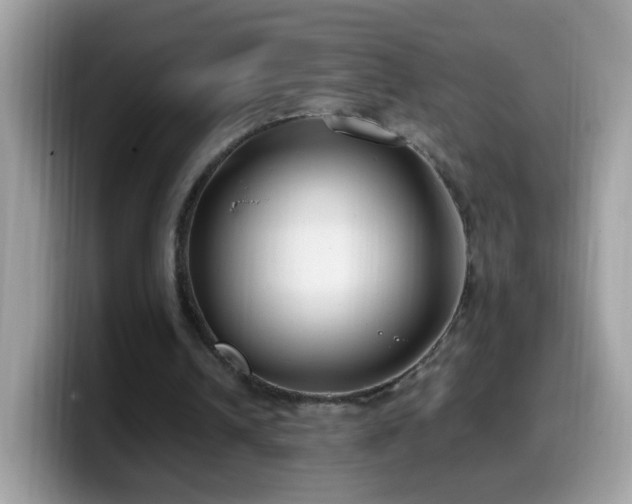 X0000099990242200805301418