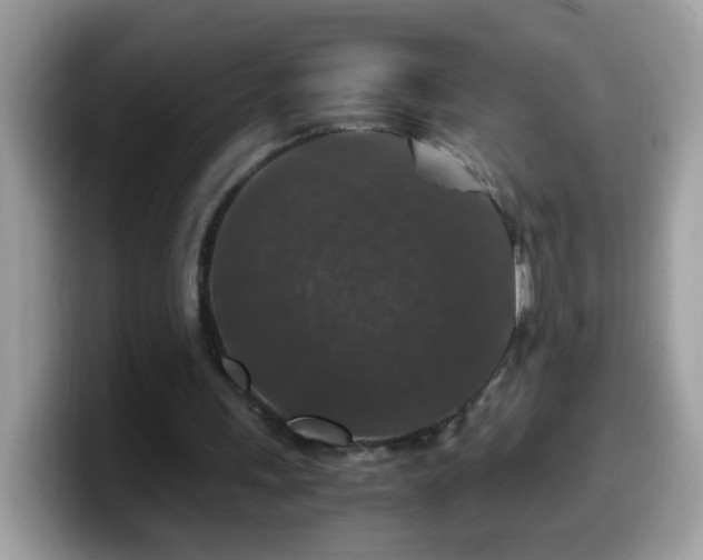 X0000099990243200805301419