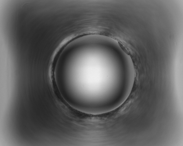 X0000099990244200805301419