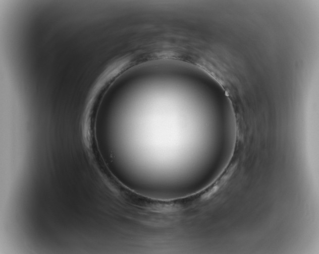 X0000099990245200805301419