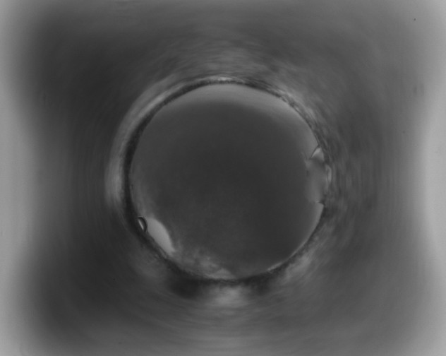 X0000099990247200805301419