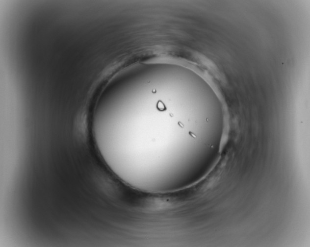 X0000099990250200805301419