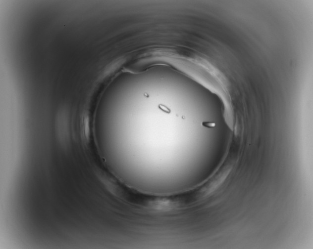 X0000099990253200805301419