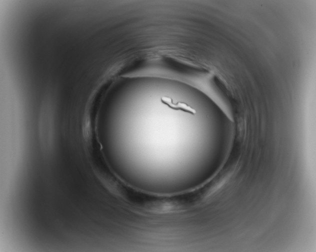X0000099990254200805301419