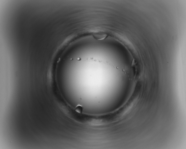 X0000099990256200805301419