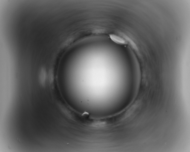 X0000099990257200805301419