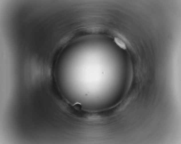 X0000099990258200805301419