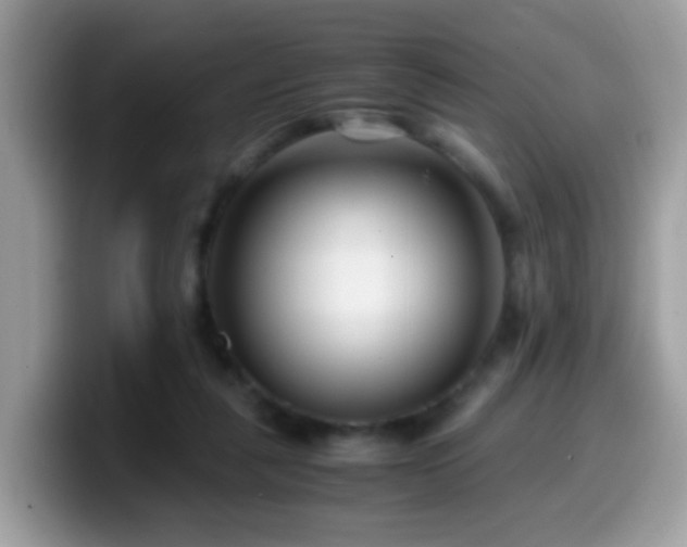 X0000099990259200805301419