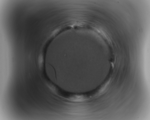 X0000099990260200805301419