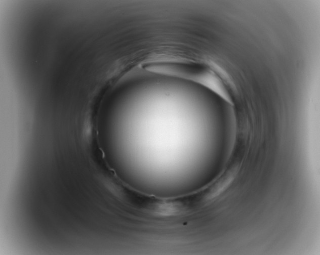 X0000099990261200805301419