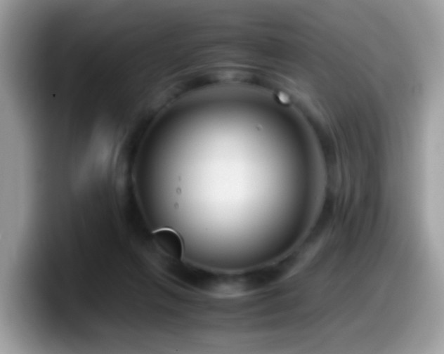 X0000099990263200805301419