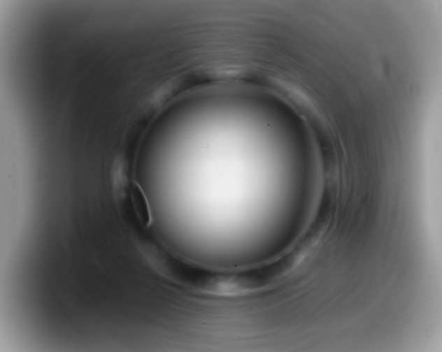 X0000099990264200805301419