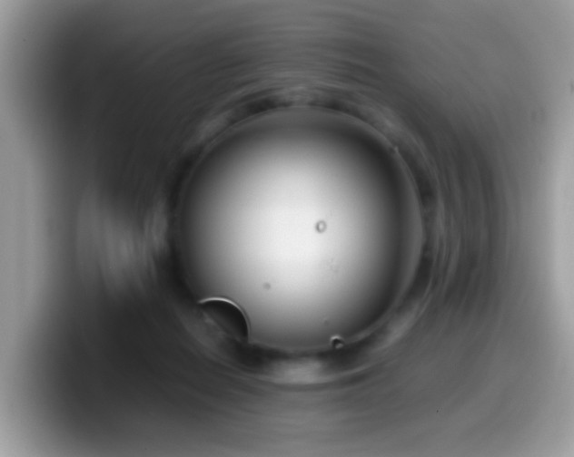 X0000099990266200805301419