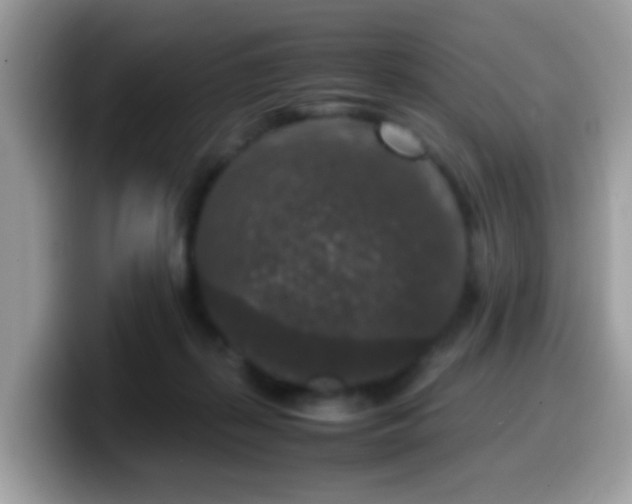 X0000099990267200805301419