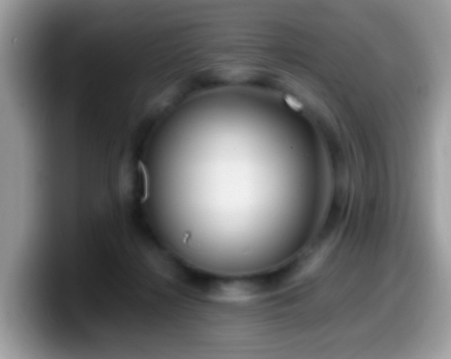 X0000099990268200805301419