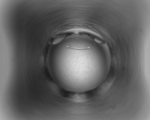 X0000099990270200805301419