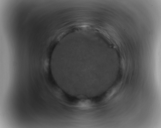 X0000099990271200805301419
