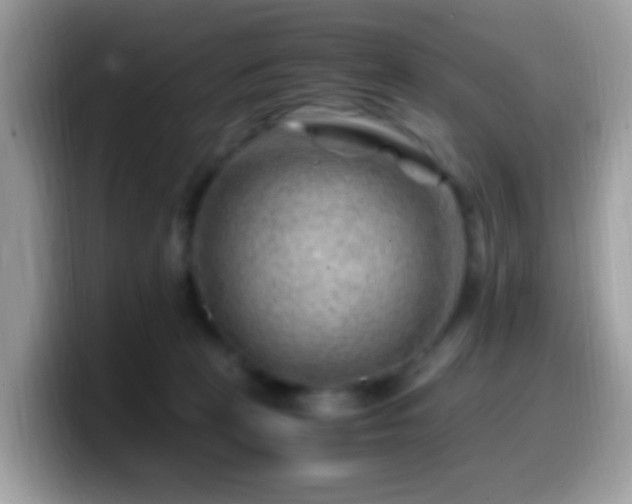 X0000099990273200805301419