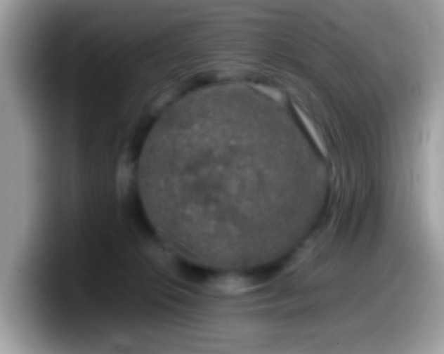 X0000099990276200805301419