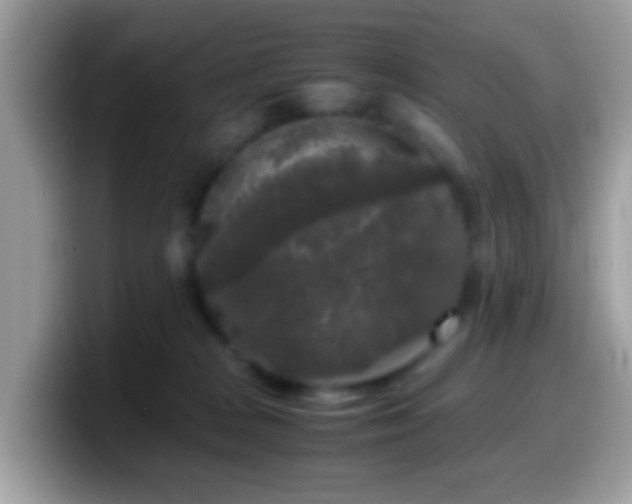 X0000099990277200805301419