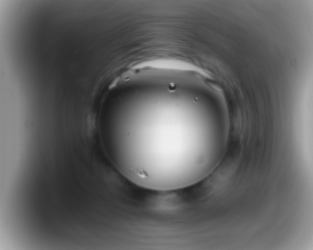 X0000099990278200805301419