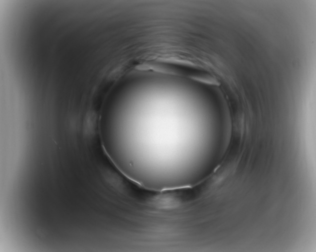 X0000099990280200805301419