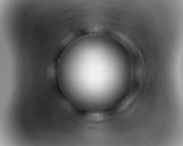 X0000099990282200805301419