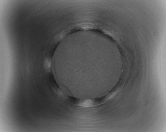 X0000099990288200805301419