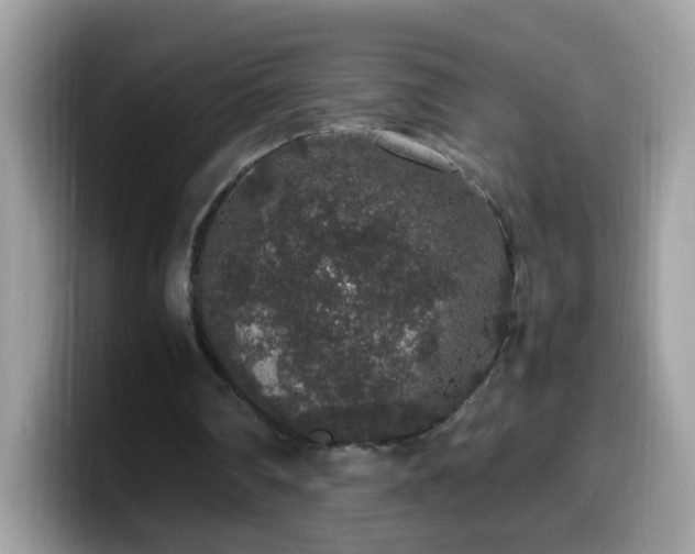 X0000099990290200805301418